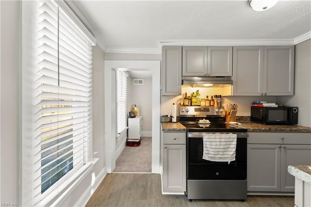 kitchen featuring gray cabinets, black microwave, stainless steel electric range oven, and under cabinet range hood