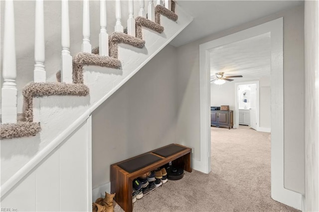 stairs featuring ceiling fan and carpet flooring