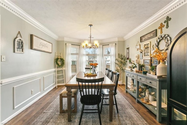 dining space featuring dark wood finished floors, wainscoting, an inviting chandelier, crown molding, and a textured ceiling