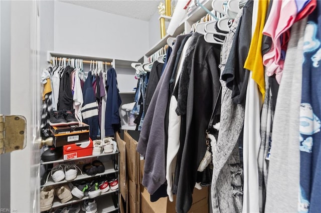 view of spacious closet