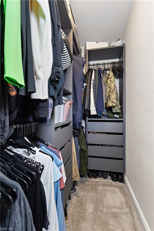 walk in closet featuring carpet flooring