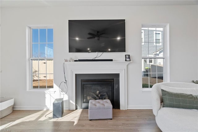 living room with a fireplace, baseboards, and wood finished floors