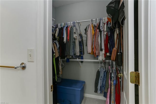 view of walk in closet