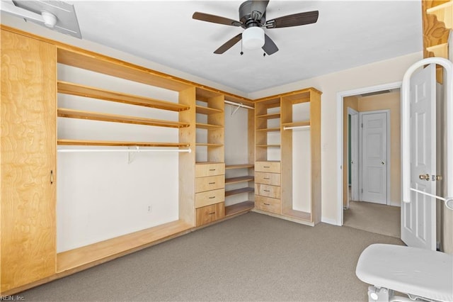 walk in closet with carpet floors, visible vents, and ceiling fan