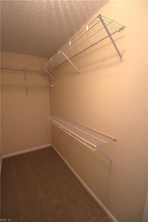 spacious closet with carpet