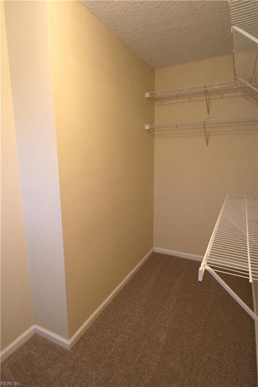 walk in closet with carpet flooring