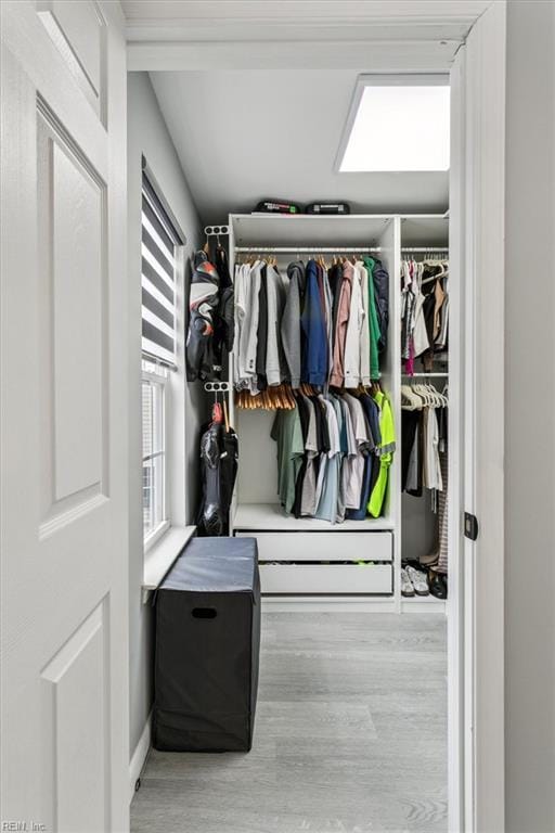 spacious closet featuring wood finished floors