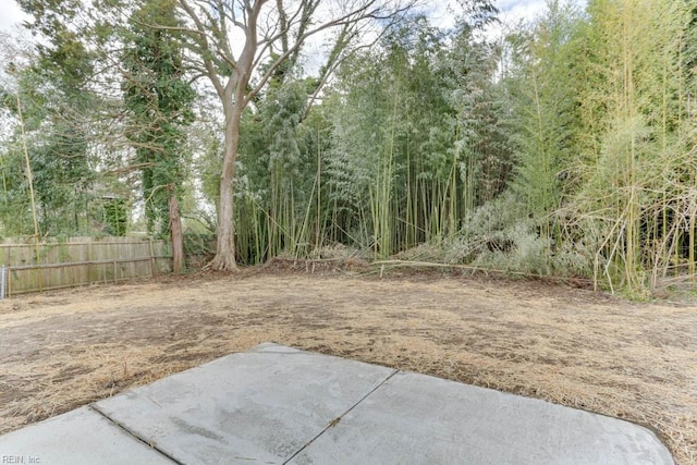 view of yard with a patio area and fence