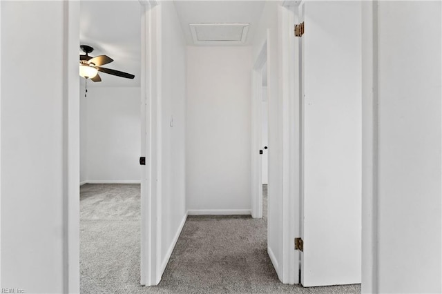 hall featuring carpet floors, attic access, and baseboards