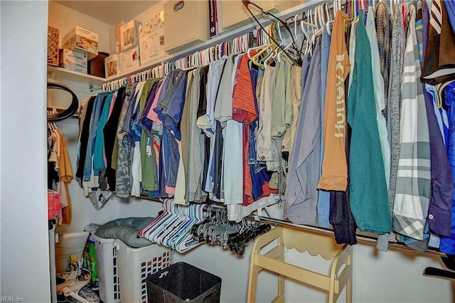 view of walk in closet