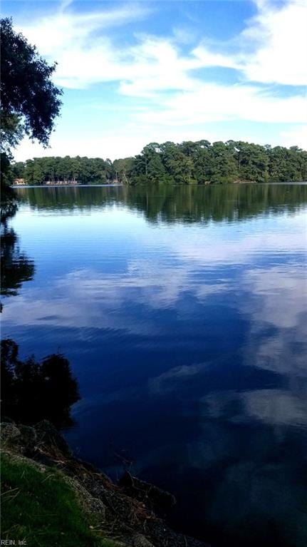 property view of water featuring a wooded view