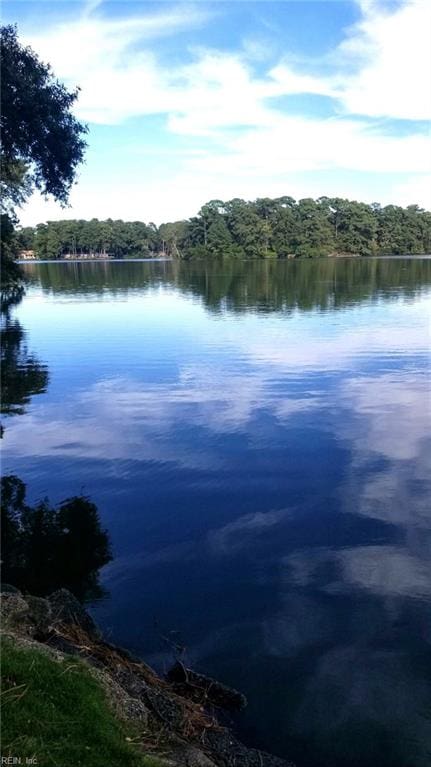 property view of water with a view of trees