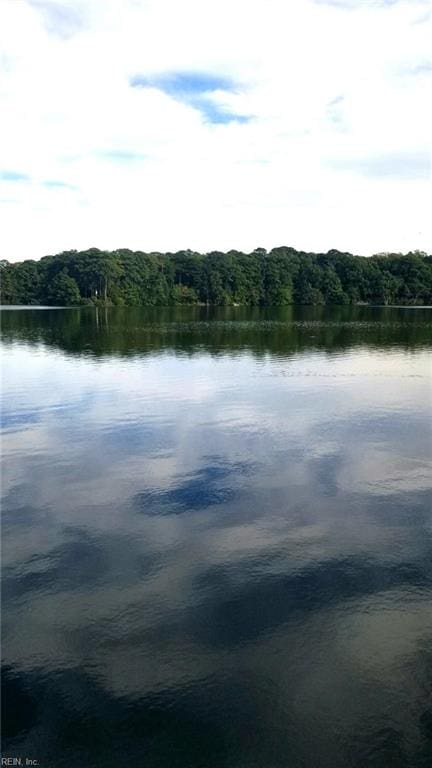 water view featuring a forest view