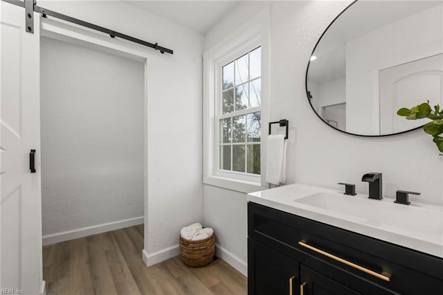 bathroom featuring vanity, baseboards, and wood finished floors