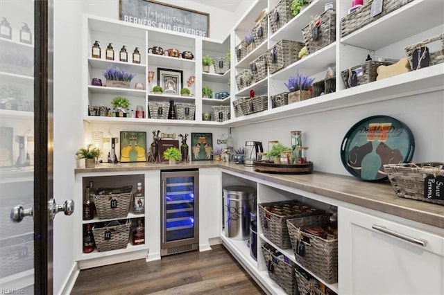 pantry featuring beverage cooler