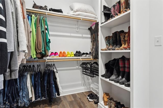 walk in closet featuring wood finished floors