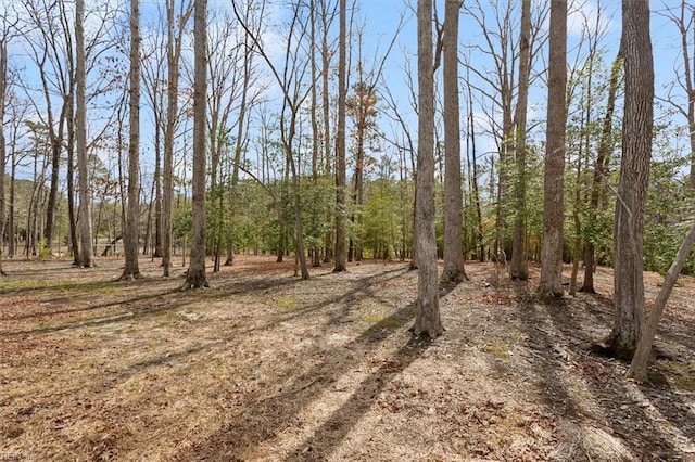 view of local wilderness