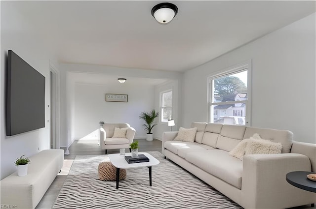 living room featuring baseboards and wood finished floors