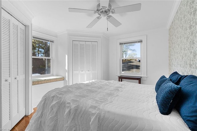 bedroom featuring a ceiling fan, two closets, wood finished floors, and crown molding