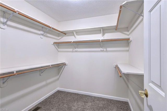 walk in closet featuring carpet floors