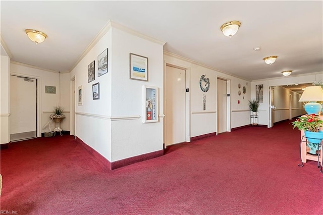 interior space featuring ornamental molding, carpet flooring, and baseboards