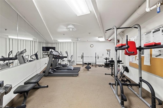 gym featuring carpet floors