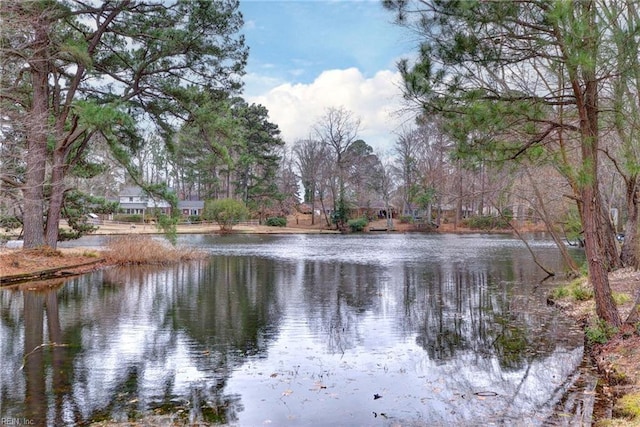 view of water feature