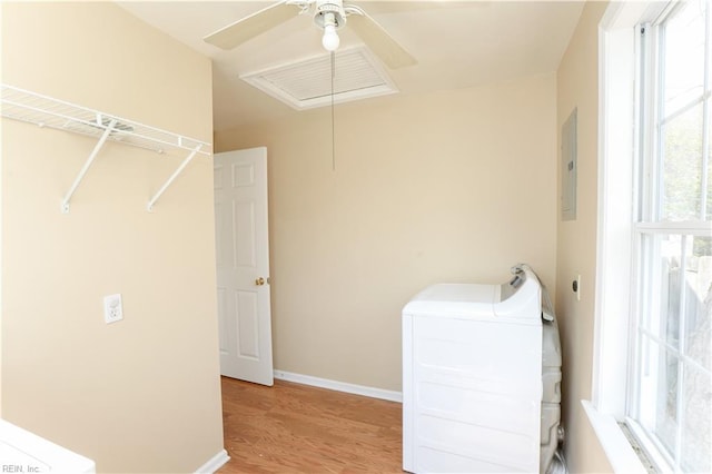 laundry area featuring laundry area, washer / dryer, electric panel, baseboards, and light wood-style floors