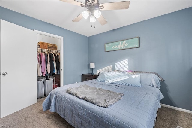 bedroom with a walk in closet, a closet, carpet flooring, and ceiling fan