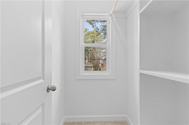 view of walk in closet