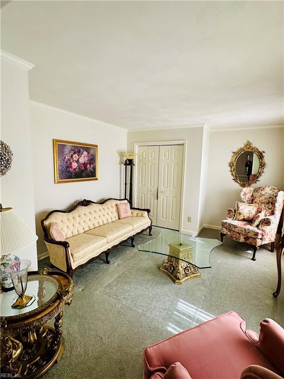 living area featuring ornamental molding, baseboards, and carpet floors