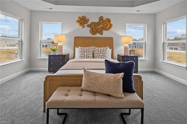 bedroom featuring carpet, multiple windows, and baseboards