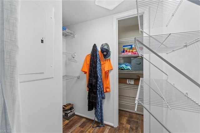 spacious closet featuring wood finished floors