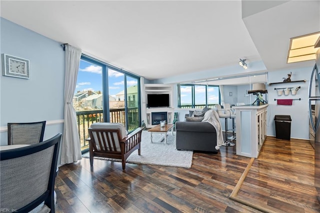 living area with a wall of windows, wood finished floors, and a fireplace