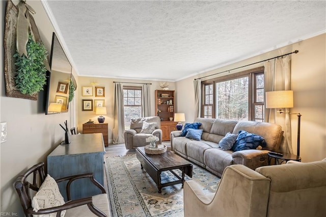 living area featuring a textured ceiling, crown molding, and wood finished floors