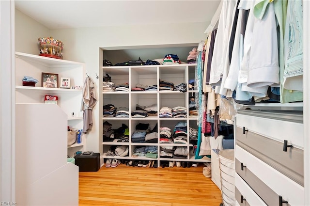 spacious closet with wood finished floors