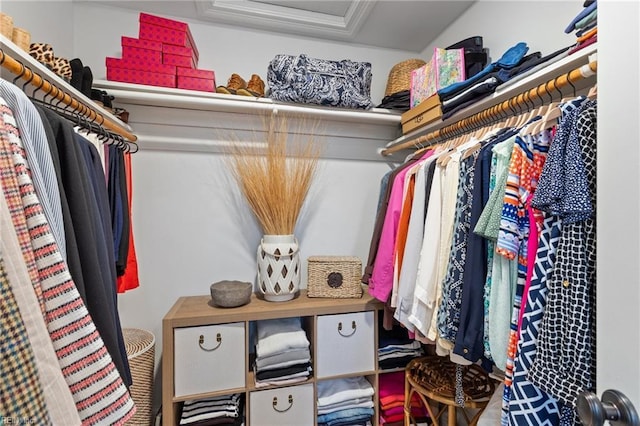 view of spacious closet