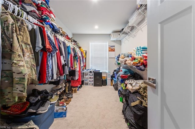 spacious closet featuring carpet flooring