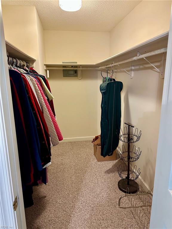 walk in closet featuring carpet flooring