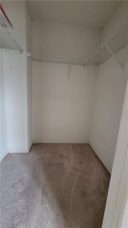 walk in closet featuring light colored carpet