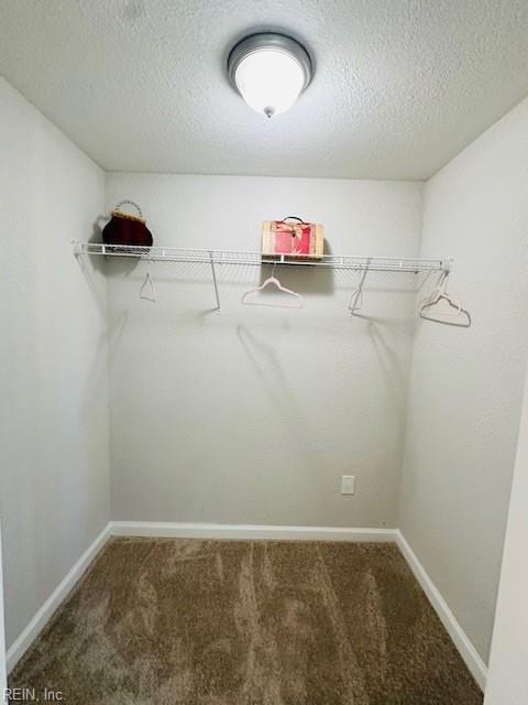 walk in closet featuring carpet