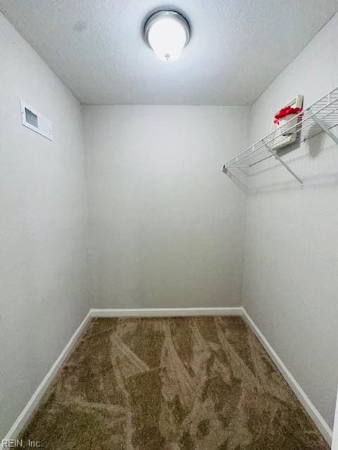 spacious closet featuring visible vents and carpet floors