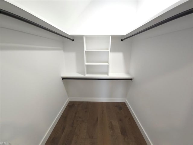 spacious closet with dark wood-type flooring