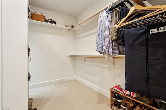 walk in closet featuring carpet flooring