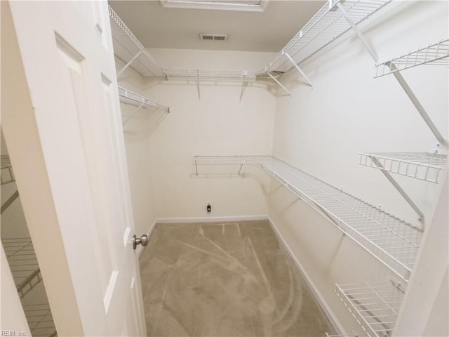 spacious closet featuring carpet flooring and visible vents