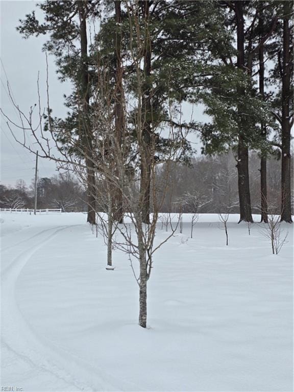 view of yard covered in snow