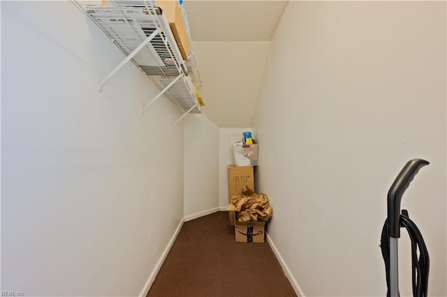 spacious closet featuring carpet floors