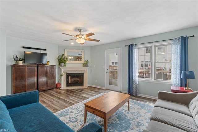 living room with baseboards, wood finished floors, and a fireplace