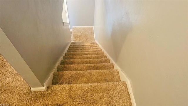 stairs featuring carpet