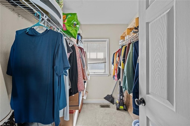 walk in closet with carpet flooring